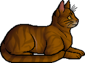 Squirrelflight, Warriors Wiki, FANDOM powered by Wikia