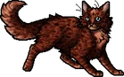 Copperpaw