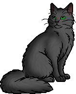 Sleekwhisker, Warriors Wiki