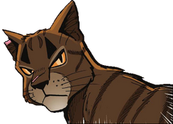 Tigerstar (TPB), Warriors Wiki, Fandom