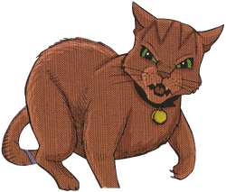 Warrior Cats - Firestar by Fox-Desert ~ Spottedstar