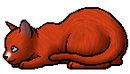 Kit Version