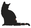 Nightstar (ShC)'s old silhouette on the Warriors website