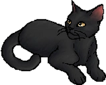 Wc cats hotsell