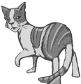 Leafstar.SE-9.png (497 KB) Leafstar in Hawkwing's Journey