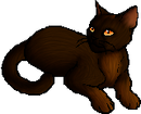 StarClan Version