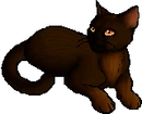 StarClan Version