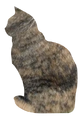 Tawnypelt's old silhouette on the Warriors website