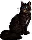 Hawkfrost.warrior