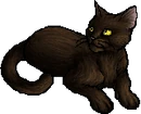 StarClan Version