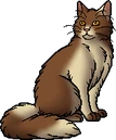 Molewhisker (TC).warrior.png (19 KB) Warrior Version