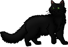 warrior cats shadowstar