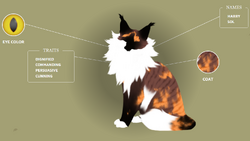 Sol's Breed. (Read my comment.) : r/WarriorCats