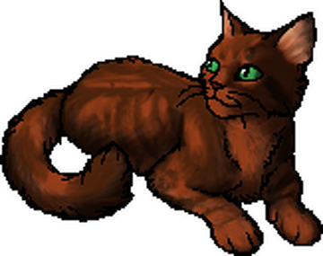 Guess that cat based off the oddly designed Warriors Wiki sprite