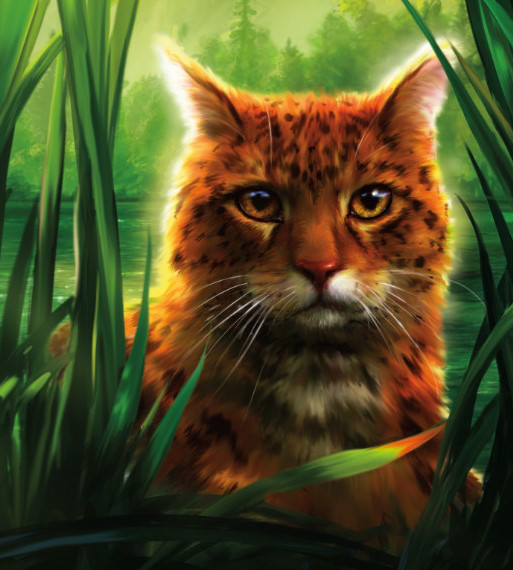 Warrior Cats Forever! - Thunderclan Cats: Firestar Showing 1-34 of 34