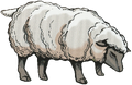 Sheep in Ravenpaw's Path