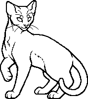 Guess that cat based off the oddly designed Warriors Wiki sprite