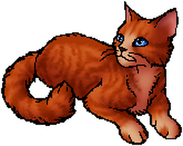 Flamepaw (TC), Warriors Wiki, Fandom