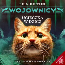 Warrior Cats: Into the wild By: Erin Hunter. SUMMARY: This book is about a  young cat named Rusty, who joins wild cats in the forest to defend  territory, - ppt download