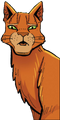 Firestar.ATIT.png (354 KB) Firestar in A Thief in ThunderClan