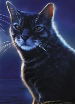 Hawkwing grew as a warrior and eventually became SkyClan's deputy during their journey