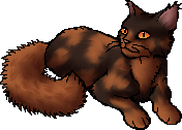 Ravenpaw, Warrior cats Wiki