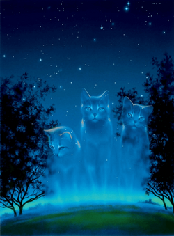 The four (six) cats chosen by StarClan meet Midnight!!!