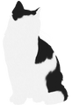 Barley's silhouette on the Warriors website