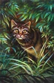 Tigerstar in The Prophecies Begin