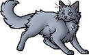 Bluestar, WARRIORS Wiki