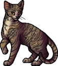 Leafstar's mother.adult.png (46 KB) Adult Version