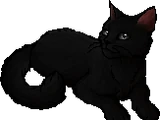 Reedwhisker