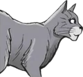 Cinderpelt in Squirrelflight's Hope