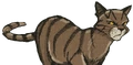 Dustpelt in Ravenpaw's Path