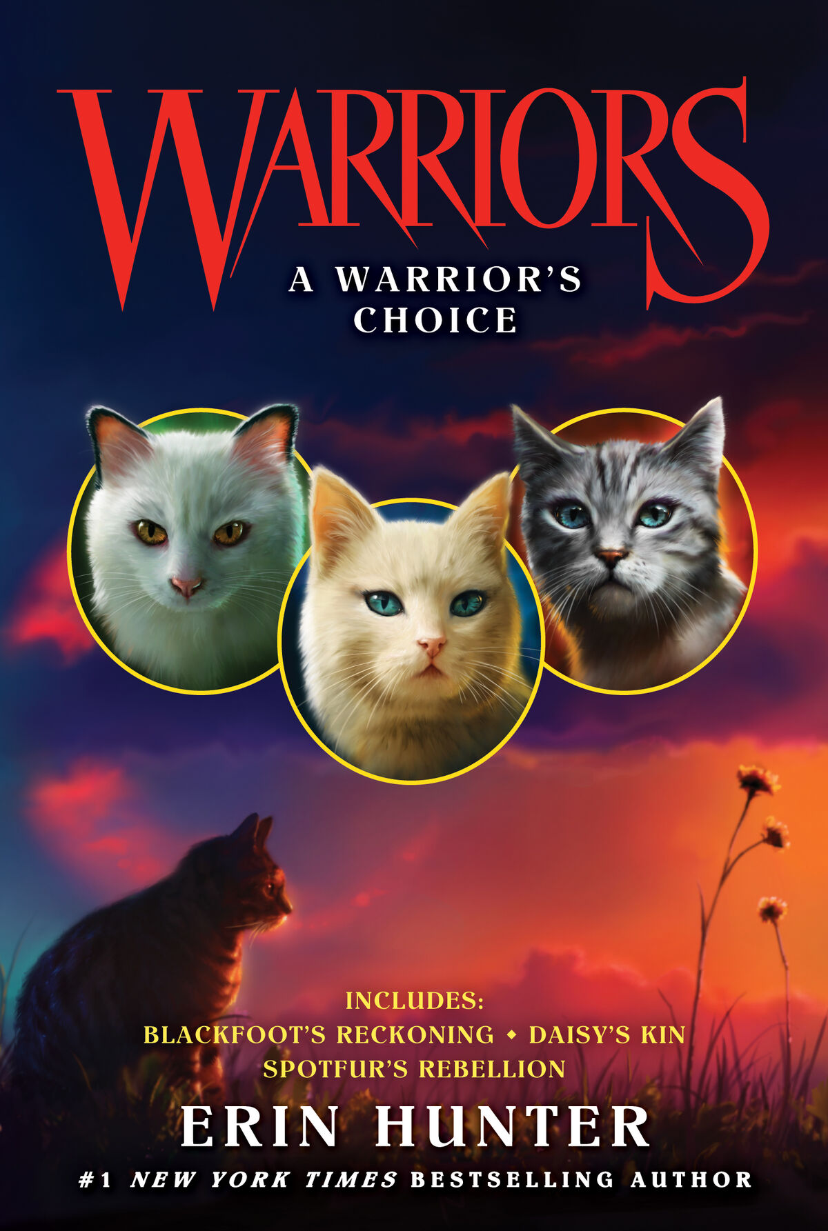 Novellas, Warriors Wiki