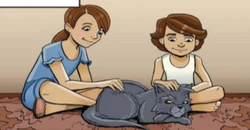 Graystripe living as a kittypet.