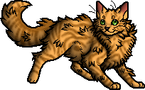 21421 - safe, artist:biohazardia, bluestar (warrior cats), firestar (warrior  cats), lionheart (warrior cats), cat, feline, mammal, feral, warrior cats,  beanbrows, blue eyes, blue fur, cheek fluff, chest fluff, collar, ear  fluff, female