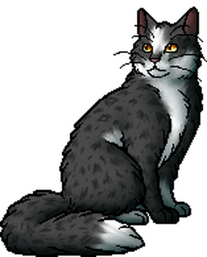 Minnowtail Warriors Wiki Fandom