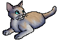 StarClan Version