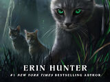 Shadow (book)