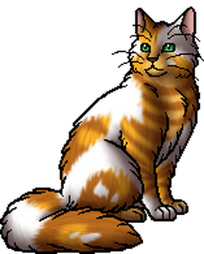 Cats of the Clans, Warriors Wiki