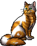 Flamepaw (TC), Warriors Wiki, Fandom