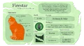 Firestar.Website3.png (2.39 MB) Firestar's Warriors website fact sheet for The Prophecies Begin