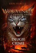 Polish Language Edition Released in Poland