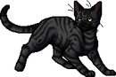 Darkstripe.apprentice.png (19 KB) Apprentice Version