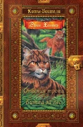 OS-5-RU-GO-1.jpg (230 KB) Russian Alternate Language Golden Edition Released in Russia