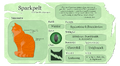 Sparkpelt's Warriors website fact sheet for A Vision of Shadows