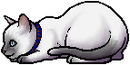 Kit Version