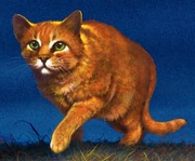 Fireheart comes up with the plan to divert the dogs