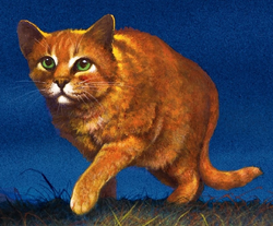 Firestar, Warrior cats Wiki